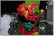 Enlarge photo 26
