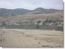 Enlarge photo 110