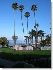 Enlarge photo 113