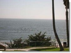 Enlarge photo 115