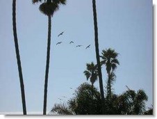 Enlarge photo 116