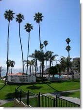 Enlarge photo 117