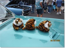 Enlarge photo 35