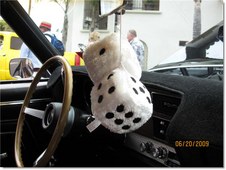 Enlarge photo 49