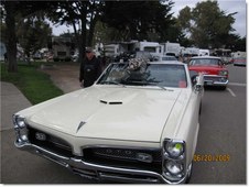 Enlarge photo 71