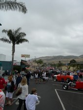 Enlarge photo 138