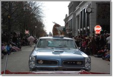 Enlarge photo 27