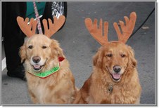 2009 Santa Cruz Parade