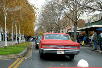 Enlarge photo 28