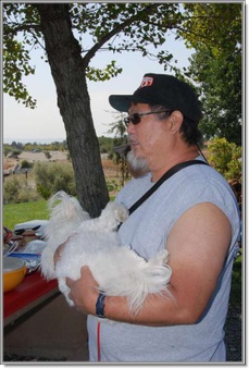 Enlarge photo 33