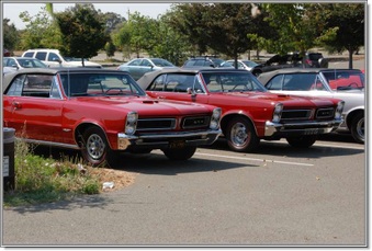 Enlarge photo 67