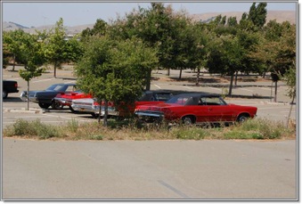 Enlarge photo 68