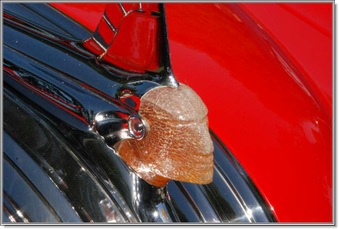 Enlarge photo 56