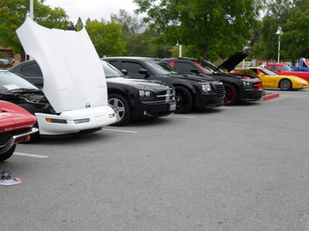 Enlarge photo 40