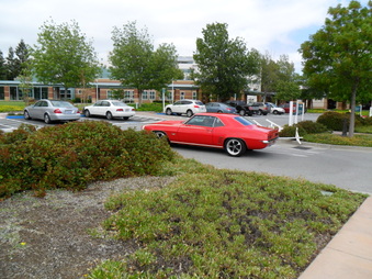 Enlarge photo 55