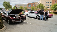 Enlarge photo 28