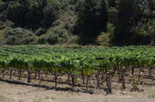 Enlarge photo 29