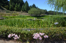 Enlarge photo 31