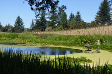 Enlarge photo 38