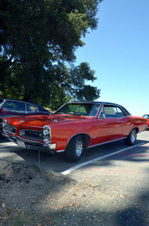 Enlarge photo 40
