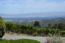 Enlarge photo 42