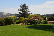 Enlarge photo 44