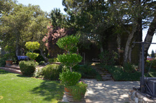 Enlarge photo 45