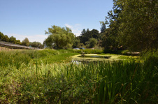 Enlarge photo 70