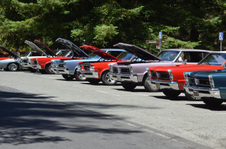 Enlarge photo 11