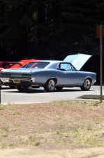 Enlarge photo 34