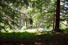 Enlarge photo 42
