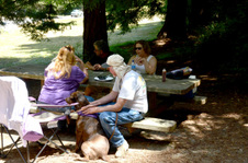 Enlarge photo 55