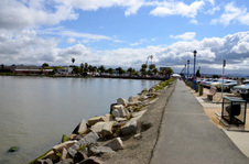 Enlarge photo 37