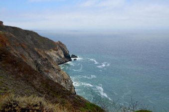 Enlarge photo 52