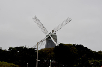 Enlarge photo 30