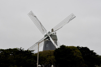 Enlarge photo 74