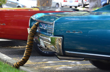 Enlarge photo 4