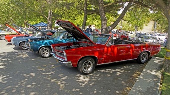 Enlarge photo 56