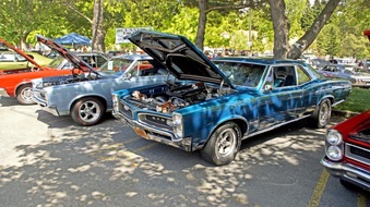 Enlarge photo 58