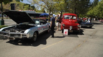Enlarge photo 71