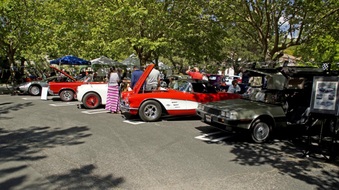 Enlarge photo 78