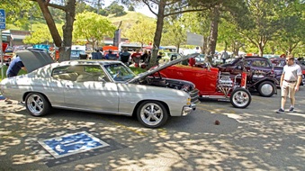 Enlarge photo 97