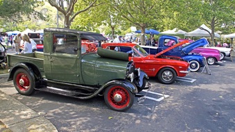 Enlarge photo 98