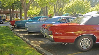 Enlarge photo 105