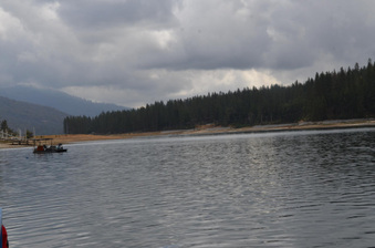 Enlarge photo 41