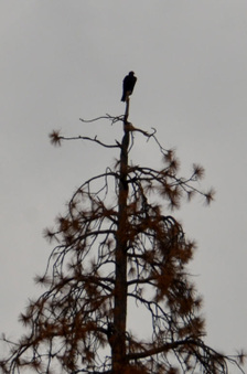 Enlarge photo 36