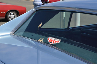 Enlarge photo 114