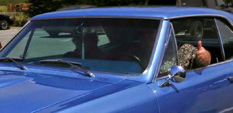 Enlarge photo 22