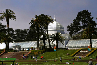 Enlarge photo 8