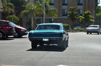 Enlarge photo 151